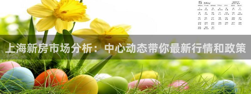 新宝5登录网址：上海新房市场分析：中心动态带你最新行情和政策