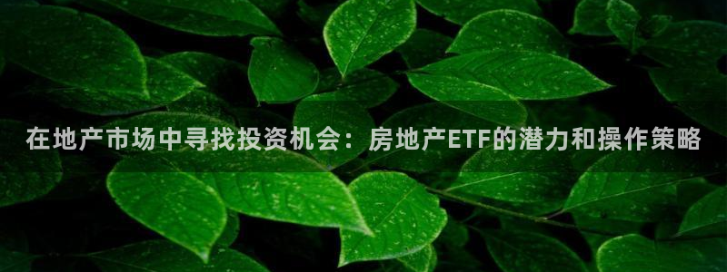 新宝5登陆：在地产市场中寻找投资机会：房地产ETF的潜力和操