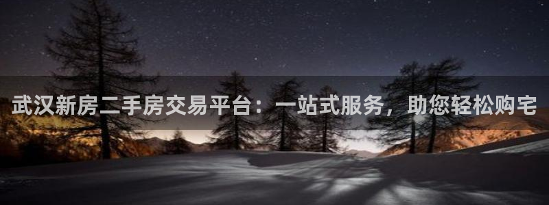 新宝6霸哥5：武汉新房二手房交易平台：一站式服务，助您轻松购