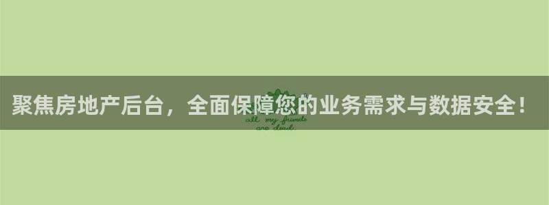 新宝5测速线路：聚焦房地产后台，全面保障您的业务需求与数据安