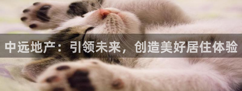 新宝5周74OOO5：中远地产：引领未来，创造美好居住体验