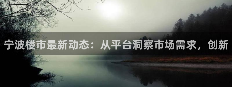 新宝那2O5O5O：宁波楼市最新动态：从平台洞察市场需求，创