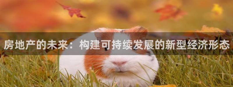 新宝5安卓版：房地产的未来：构建可持续发展的新型经济形态