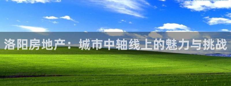 菲律宾新宝5老板：洛阳房地产：城市中轴线上的魅力与挑战