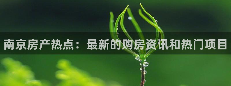 新宝5寻33 300球：南京房产热点：最新的购房资讯和热门项
