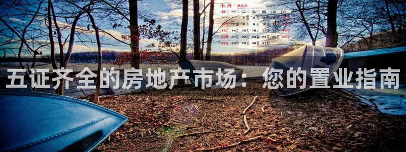 新宝5手机app：五证齐全的房地产市场：您的置业指南
