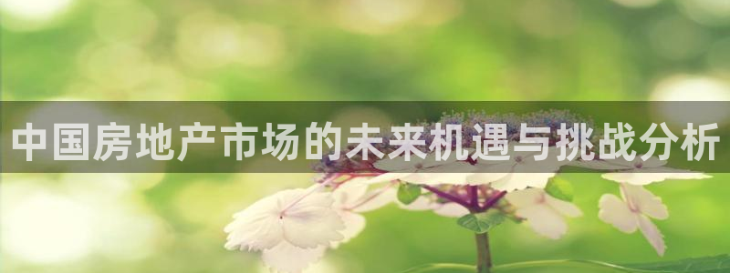 新宝5测速：中国房地产市场的未来机遇与挑战分析