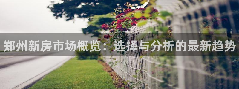 新宝5如何下载：郑州新房市场概览：选择与分析的最新趋势