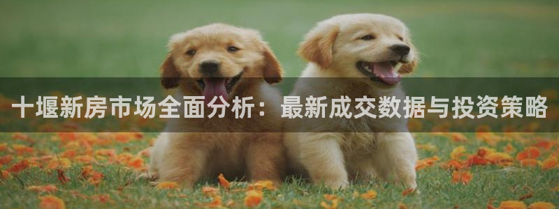 新宝5 888：十堰新房市场全面分析：最新成交数据与投资策略
