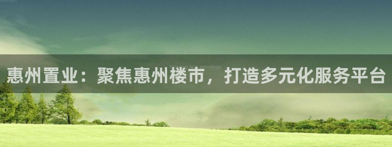 新宝5秒开：惠州置业：聚焦惠州楼市，打造多元化服务平台