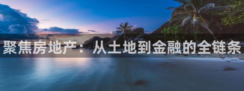 新宝5内部：聚焦房地产：从土地到金融的全链条