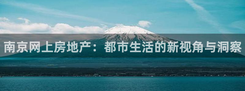 新宝娱乐5：南京网上房地产：都市生活的新视角与洞察