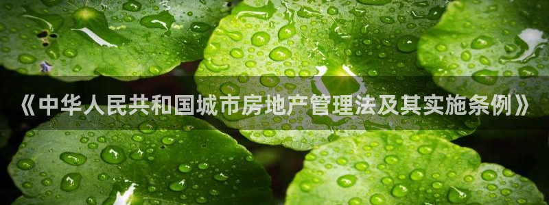 新宝5飞355051：《中华人民共和国城市房地产管理法及其实