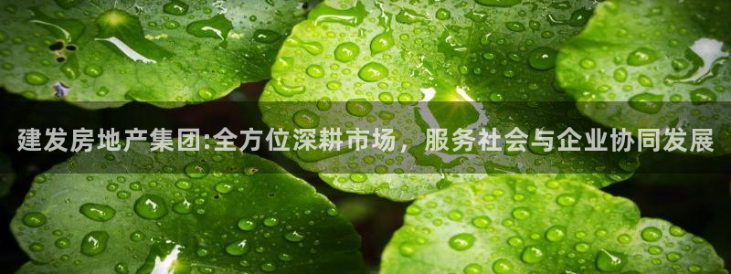 新宝5娱乐网址：建发房地产集团:全方位深耕市场，服务社会与企