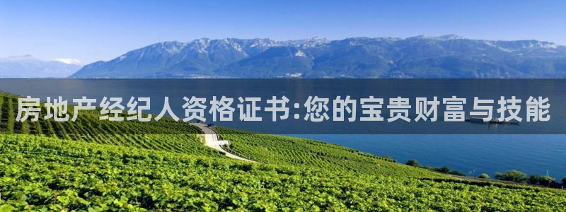新宝5在哪里：房地产经纪人资格证书:您的宝贵财富与技能