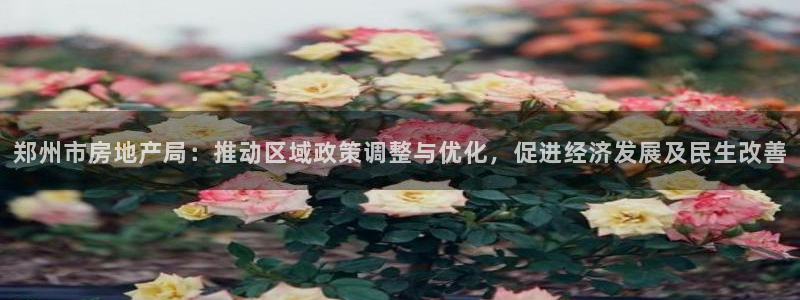 新宝 5测速：郑州市房地产局：推动区域政策调整与优化，促进经