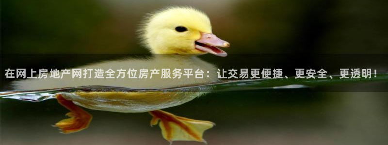 新宝5上来77542：在网上房地产网打造全方位房产服务平台：