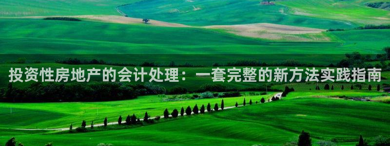 新宝xb5：投资性房地产的会计处理：一套完整的新方法实践指南