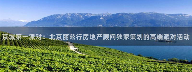 新宝5代理：京城第一派对：北京丽兹行房地产顾问独家策划的高端