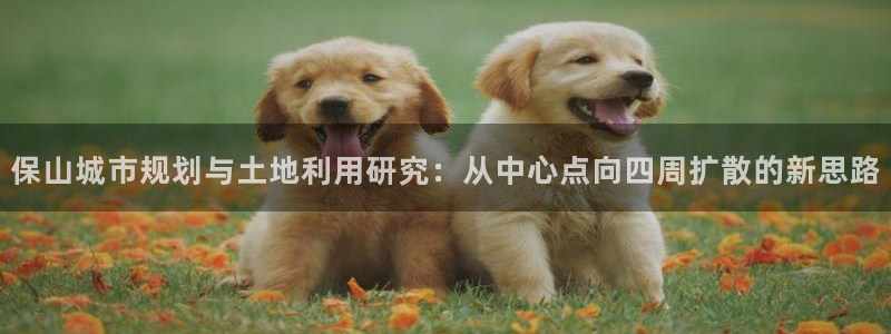 新宝5电脑登录网址：保山城市规划与土地利用研究：从中心点向四