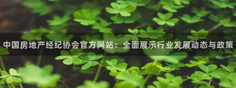新宝股东张听2 5 5：中国房地产经纪协会官方网站：全面展示