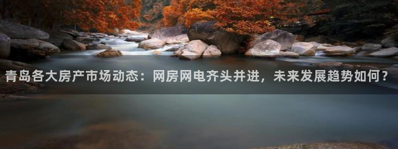 新宝5登录：青岛各大房产市场动态：网房网电齐头并进，未来发展