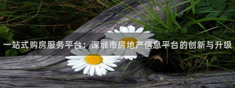 新宝5分彩：一站式购房服务平台：深圳市房地产信息平台的创新与