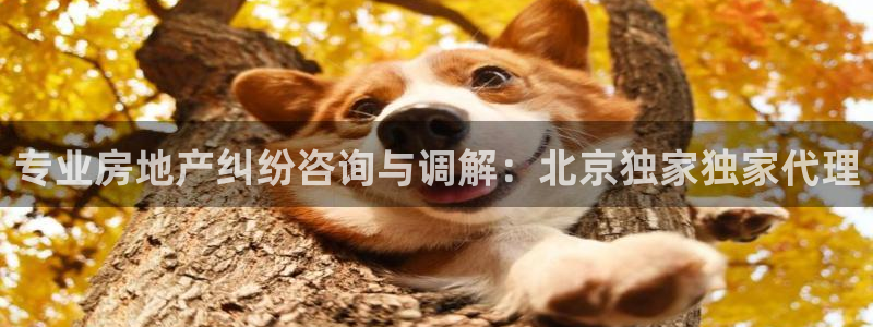 新宝5褚74OOO5：专业房地产纠纷咨询与调解：北京独家独家