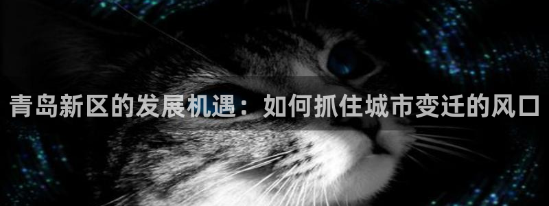 新宝5娱乐然：青岛新区的发展机遇：如何抓住城市变迁的风口