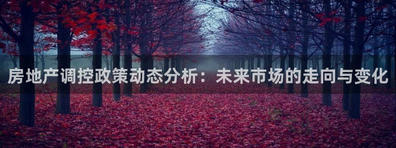 新宝5安卓版：房地产调控政策动态分析：未来市场的走向与变化