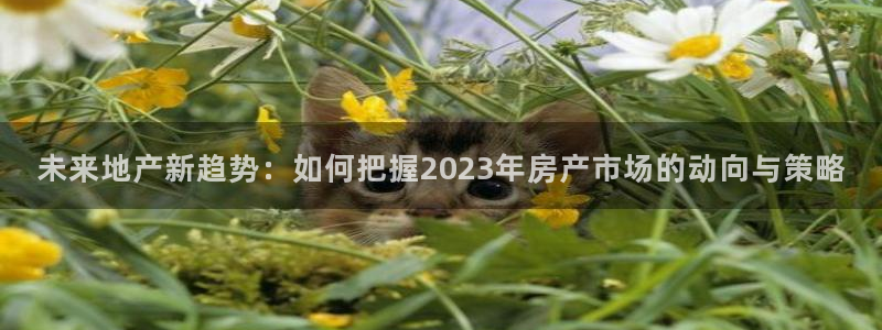 新宝5娱乐都：未来地产新趋势：如何把握2023年房产市场的动