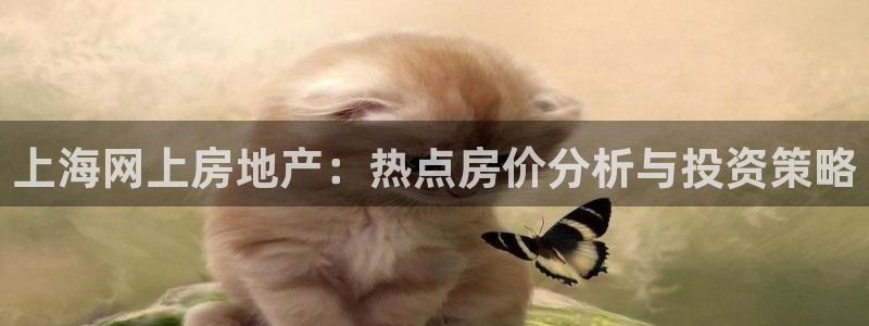 新宝5电脑：上海网上房地产：热点房价分析与投资策略