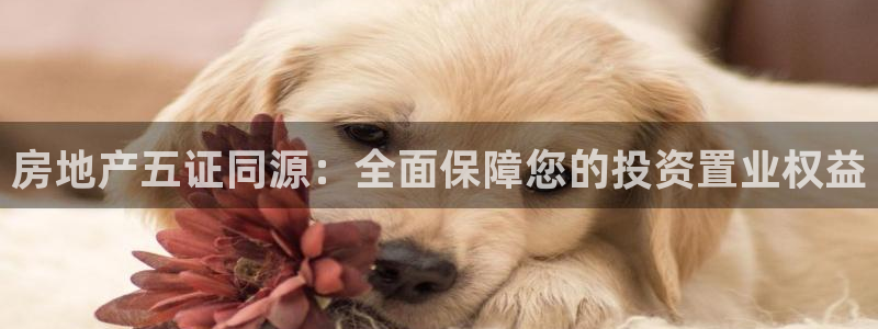 新宝5王问74OOO5：房地产五证同源：全面保障您的投资置业