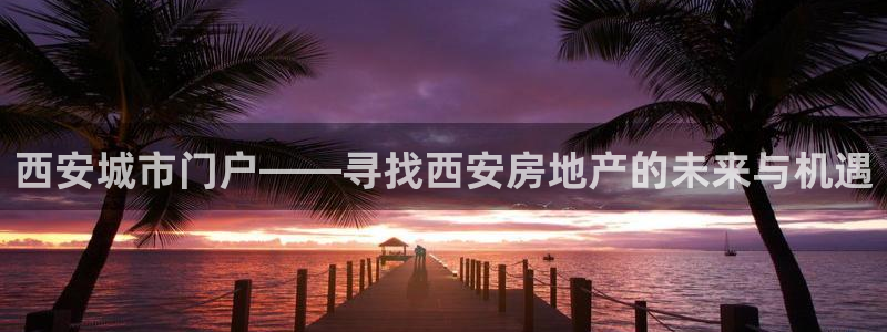 新宝5主管：西安城市门户——寻找西安房地产的未来与机遇