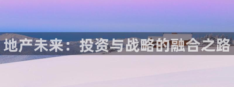 新宝5是什么样子的：地产未来：投资与战略的融合之路