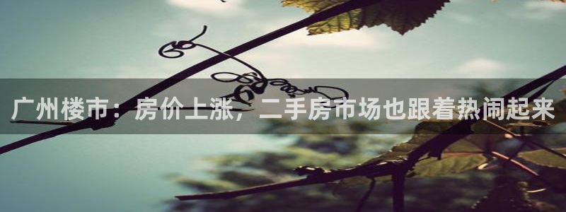新宝5系列：广州楼市：房价上涨，二手房市场也跟着热闹起来