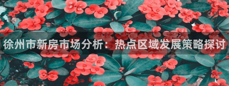 新宝注5册：徐州市新房市场分析：热点区域发展策略探讨