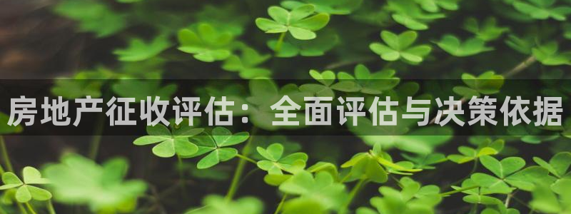 新宝5是什么样子的：房地产征收评估：全面评估与决策依据
