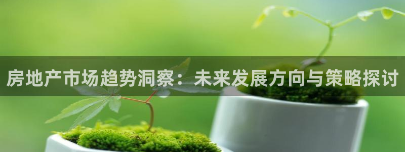新宝5平台登录注册：房地产市场趋势洞察：未来发展方向与策略探