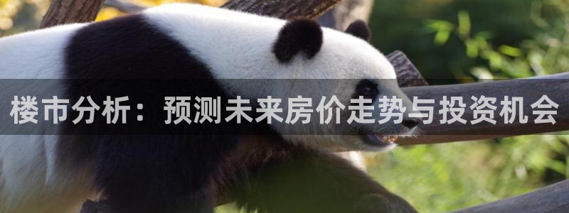 新宝5电脑：楼市分析：预测未来房价走势与投资机会
