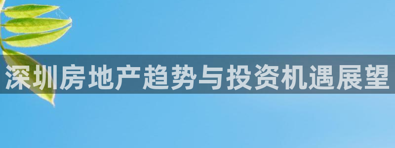 新宝5月：深圳房地产趋势与投资机遇展望