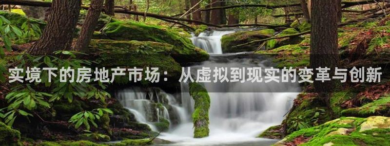 新宝5注册链接：实境下的房地产市场：从虚拟到现实的变革与创新