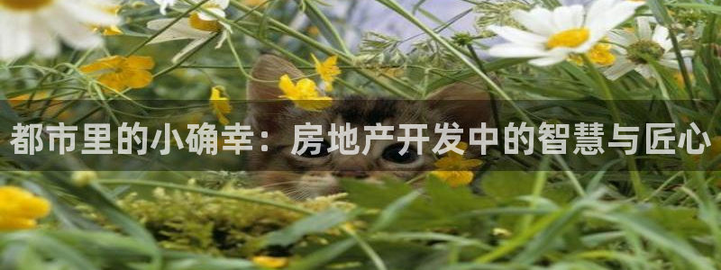 新宝5秒开：都市里的小确幸：房地产开发中的智慧与匠心