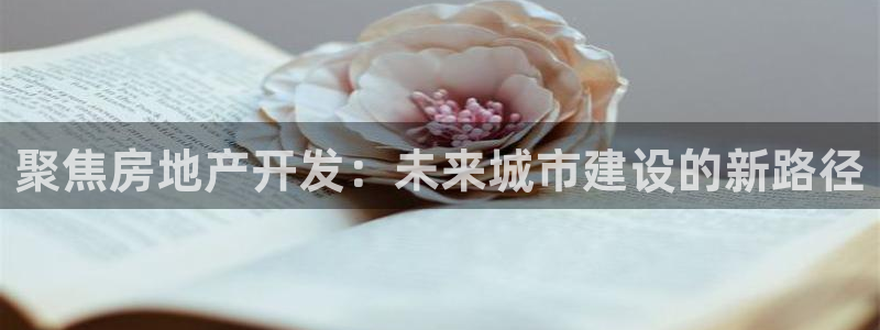 新宝5线路登录：聚焦房地产开发：未来城市建设的新路径