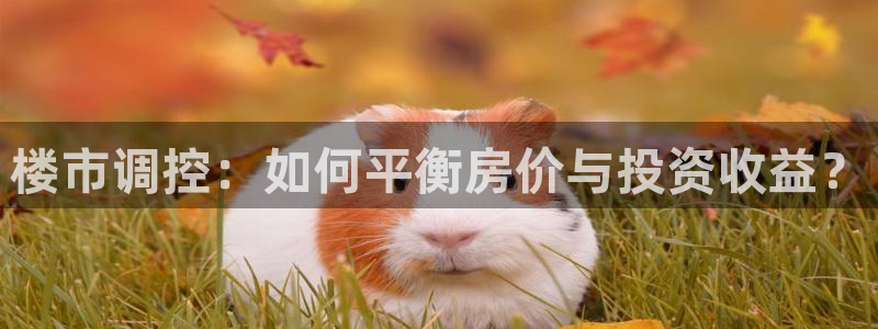 新宝5日：楼市调控：如何平衡房价与投资收益？