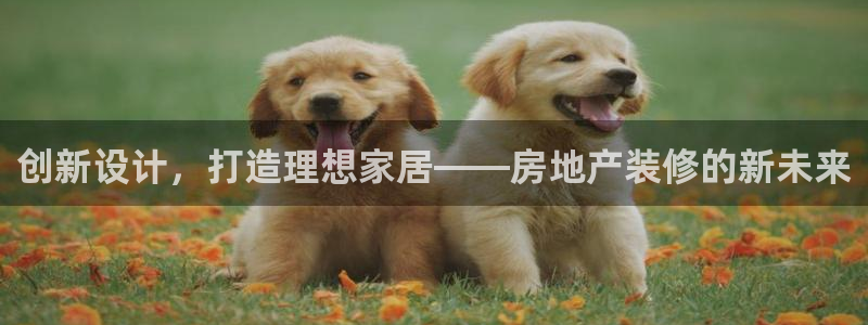 新宝5测速平台登录：创新设计，打造理想家居——房地产装修的新
