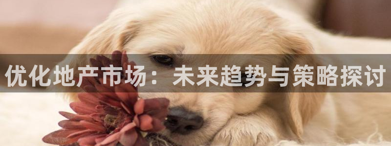 老新宝5授权登录：优化地产市场：未来趋势与策略探讨