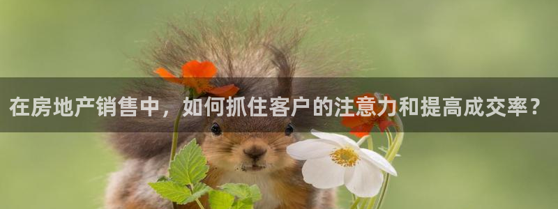 新宝5注册：在房地产销售中，如何抓住客户的注意力和提高成交率