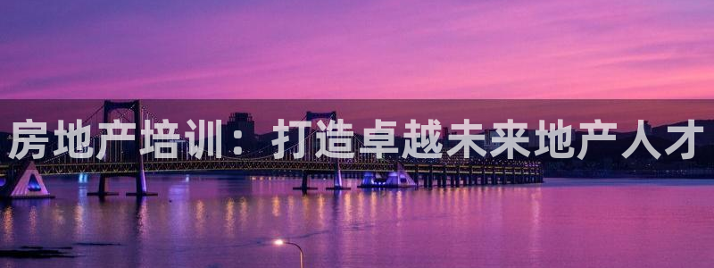 新宝5在哪里：房地产培训：打造卓越未来地产人才