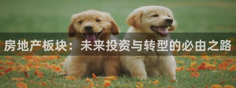 新宝5平台登录下载软件：房地产板块：未来投资与转型的必由之路